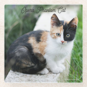 Opera Phantom Cat Glasuntersetzer