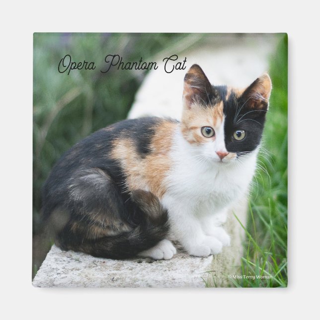 Opera Phantom Cat Magnet (Vorne)