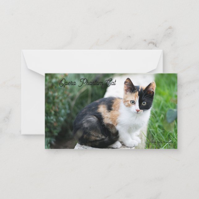 Opera Phantom Cat Mitteilungskarte (Vorderseite)