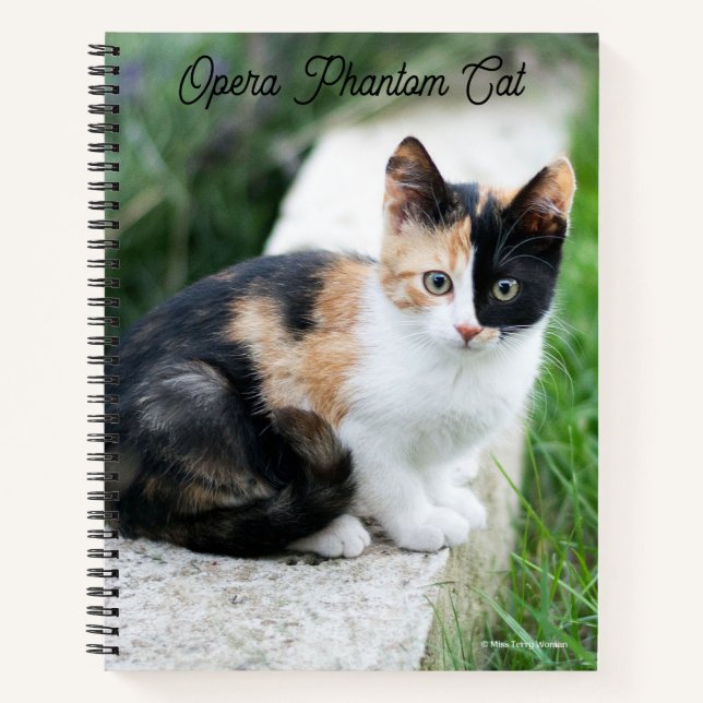 Opera Phantom Cat Notizbuch (Vorderseite)