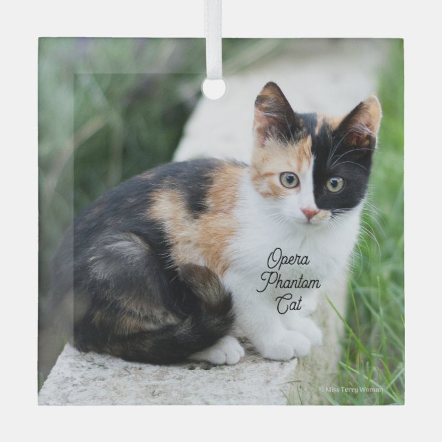 Opera Phantom Cat Ornament Aus Glas (Vorderseite)