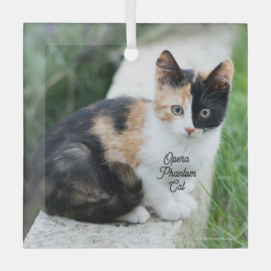 Opera Phantom Cat Ornament Aus Glas