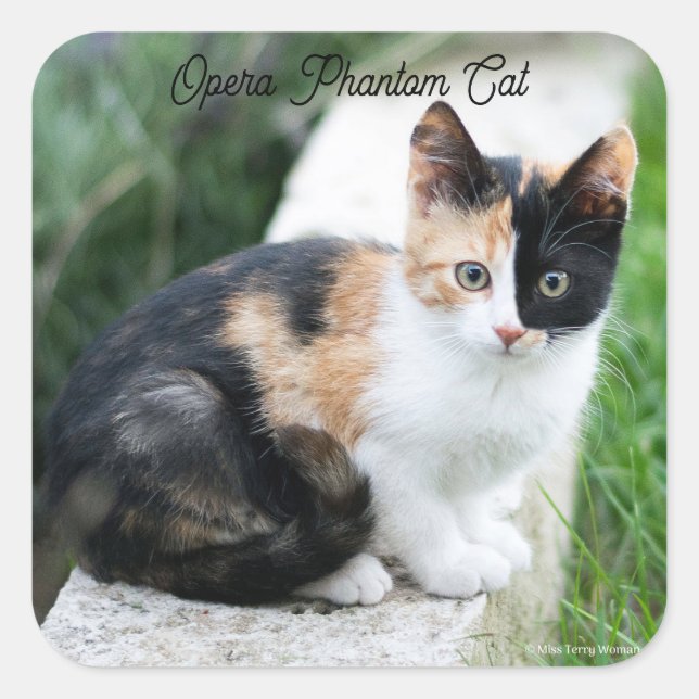 Opera Phantom Cat Quadratischer Aufkleber (Vorderseite)