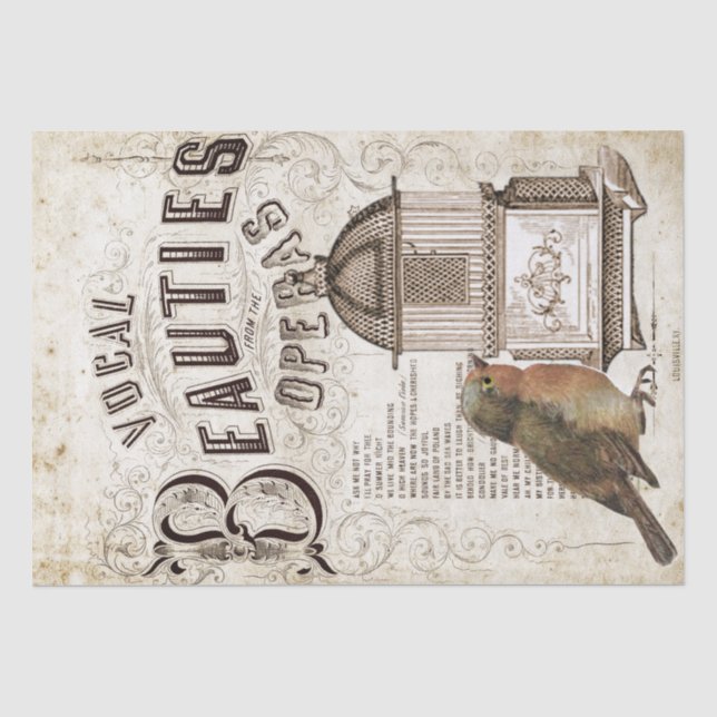 Opera Song Musik Robin Bird Birdcage Decoupage Seidenpapier (Vorderseite)