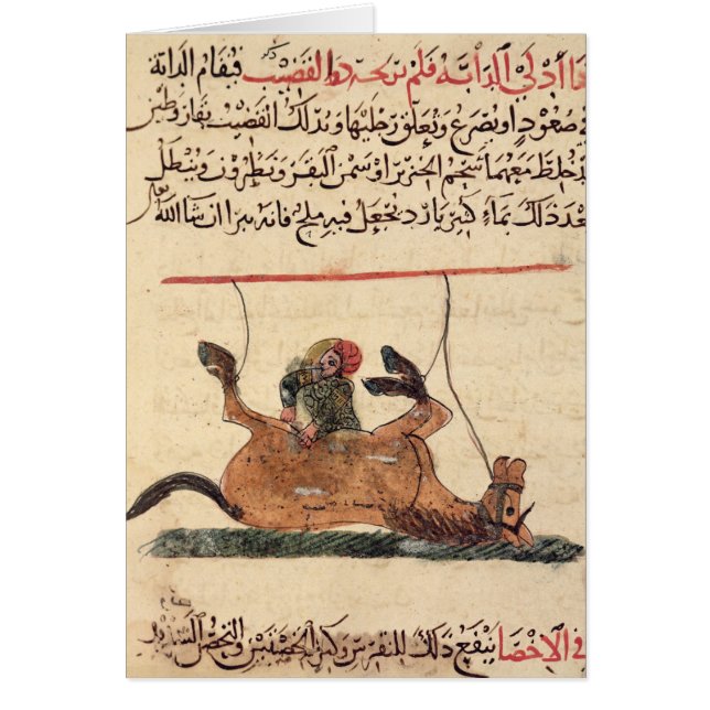 Operation auf einem Pferd, Illustration (Vorne)