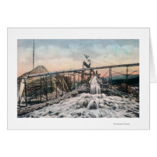 Opération de mine d'or de l'Alaska Boîte à neige