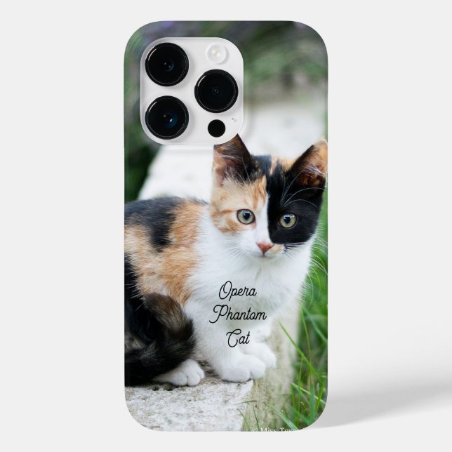 Opern-Phantom-Katze Case-Mate iPhone 14 Pro Hülle (Rückseite)