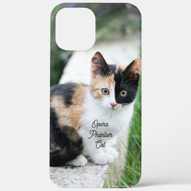 Opern-Phantom-Katze Case-Mate iPhone Hülle (Rückseite)