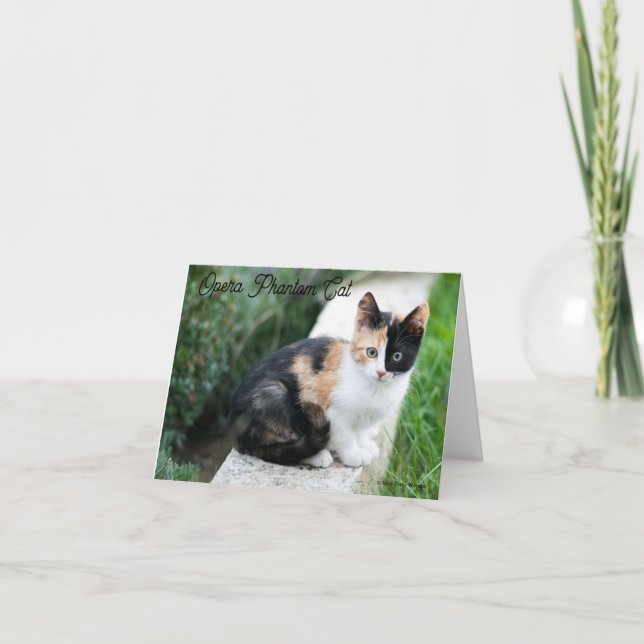 Opern-Phantom-Katze Dankeskarte (Vorderseite)