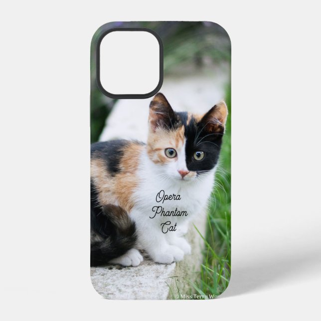 Opern-Phantom-Katze iPhone 12 Hülle (Rückseite)