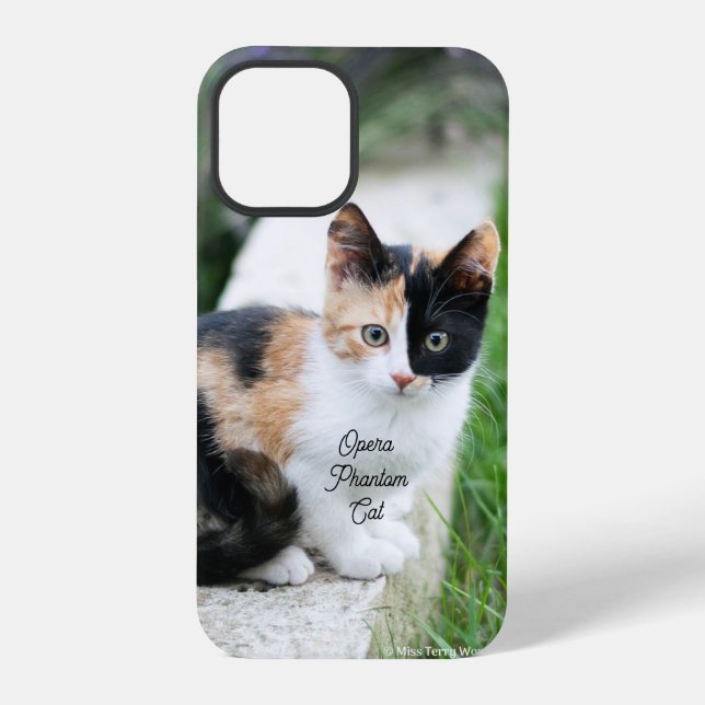 Opern-Phantom-Katze iPhone 12 Pro Hülle (Rückseite)