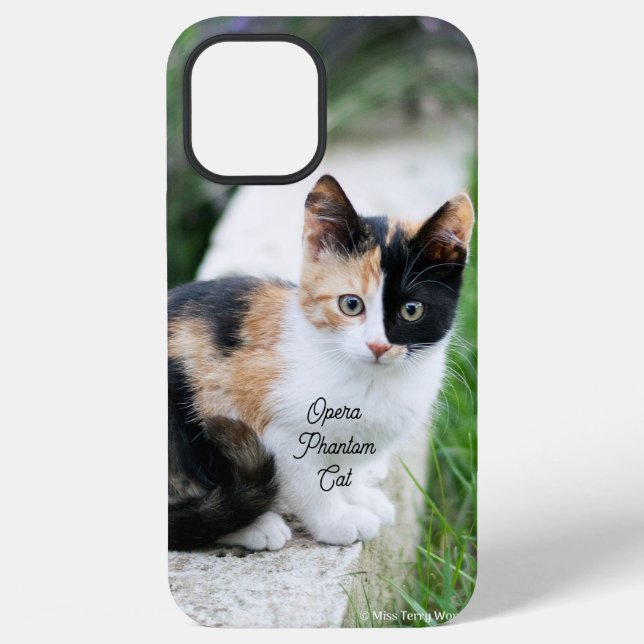 Opern-Phantom-Katze iPhone 12 Pro Max Hülle (Rückseite)