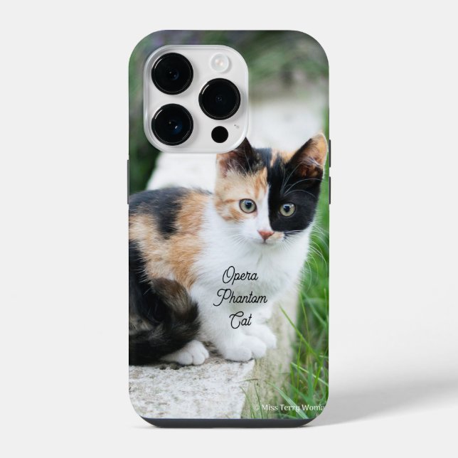 Opern-Phantom-Katze iPhone 14 Pro Hülle (Rückseite)