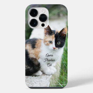 Opern-Phantom-Katze iPhone 14 Pro Max Hülle