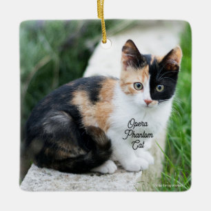 Opern-Phantom-Katze Keramikornament