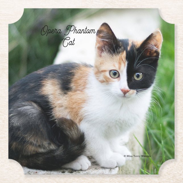 Opern-Phantom-Katze Untersetzer (Vorderseite)