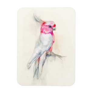 Operncockatoo Magnet