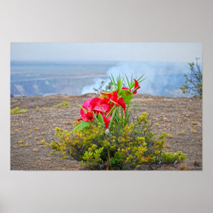 Opfergabe an Pele, hawaiianische Vulkan-Göttin Poster