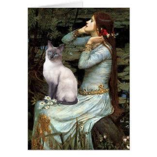 Ophelia - Blue Point Siamese cat