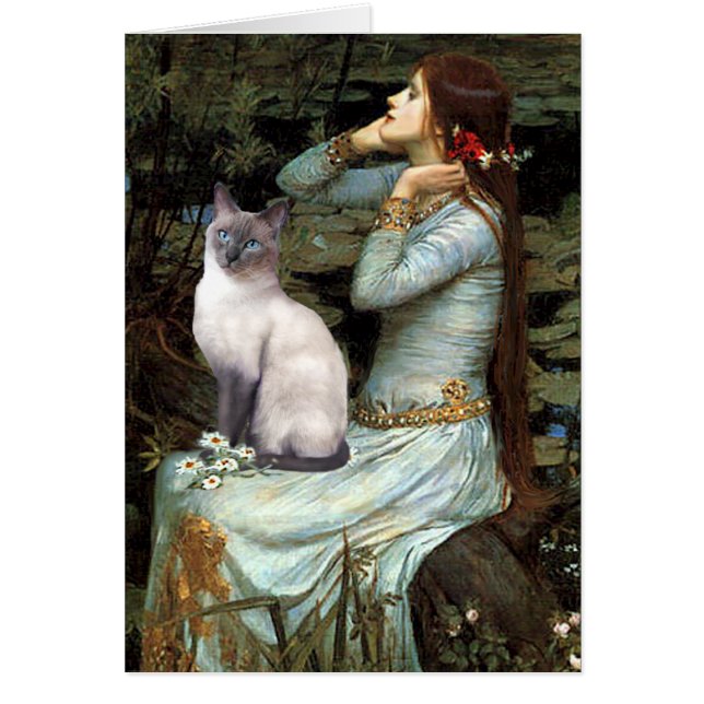 Ophelia - Blue Point Siamese cat (Vorne)