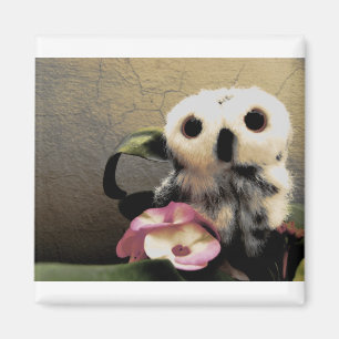 Ophelias rosa Freunde Magnet
