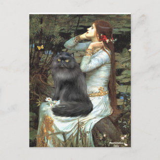 Ophelie - schwarze Perserkatze Postkarte