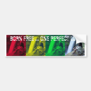 OPL Rasta färbt Autoaufkleber