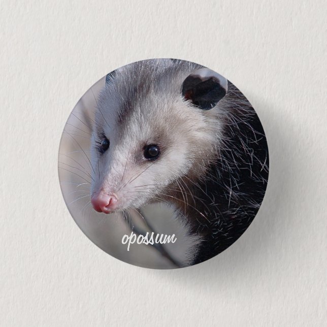 Opossum Button (Vorderseite)