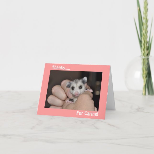 Opossum danken Ihnen zu kardieren Dankeskarte (Vorderseite)