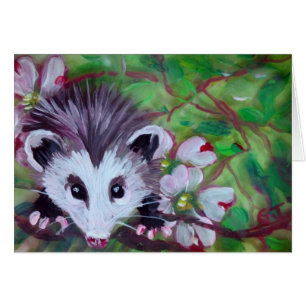 opossum de bébé