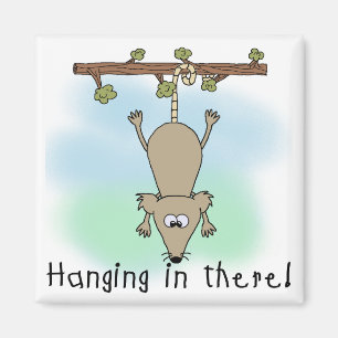 Opossum hing da rein magnet