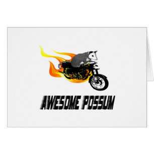 Opossum impressionnant de cavalier de vélo