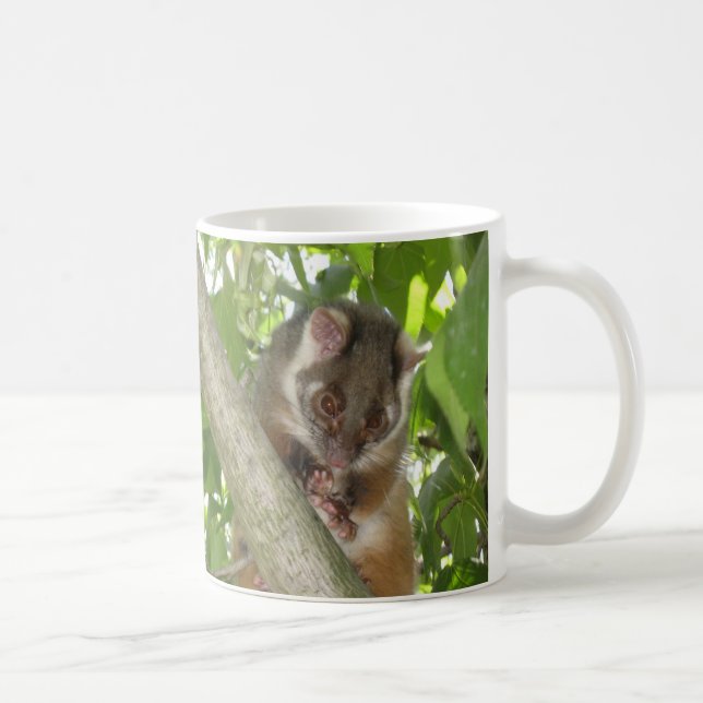 Opossum in einem Baum Kaffeetasse (Rechts)