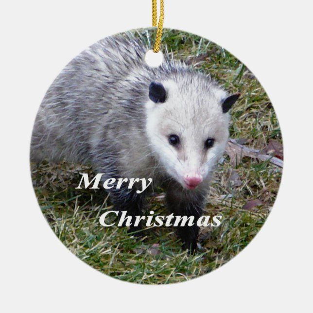 Opossum Keramikornament (Vorne)