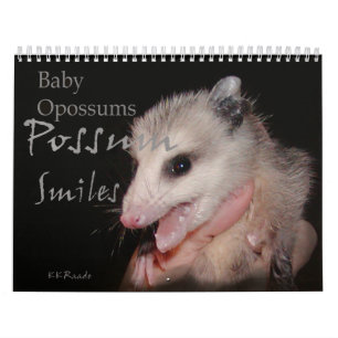 Opossum-Lächeln Kalender