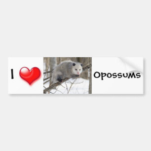 Opossum-Liebe Autoaufkleber