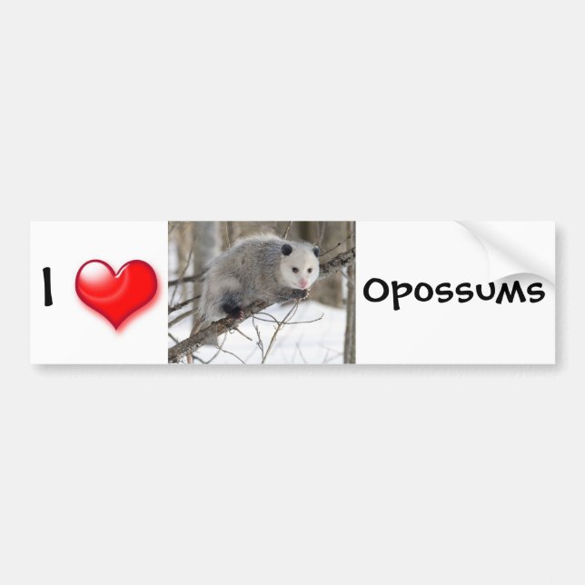 Opossum-Liebe Autoaufkleber (Vorne)