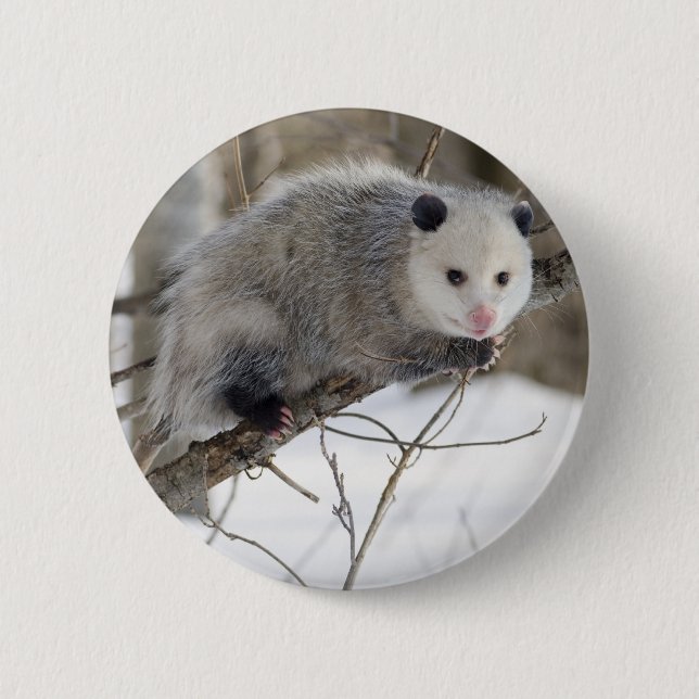 Opossum-Liebe Button (Vorderseite)