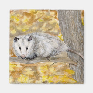 Opossum Magnet