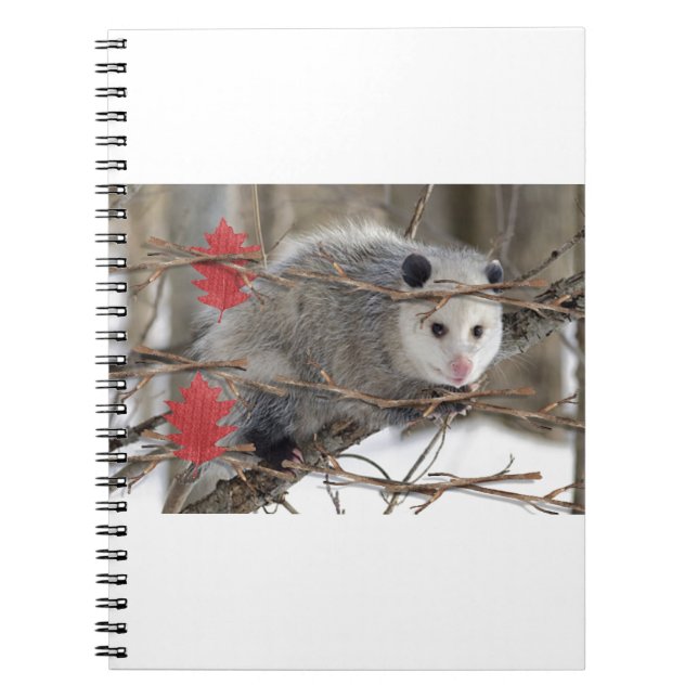 Opossum Nature Notebook Notizblock (Vorderseite)
