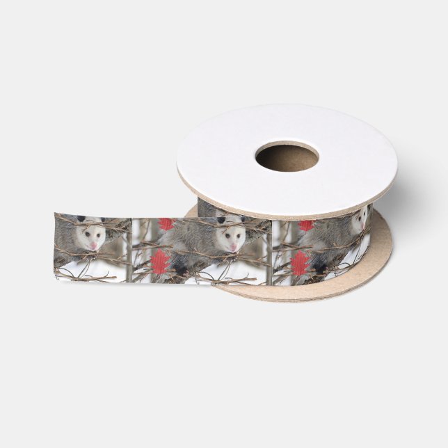 Opossum Nature Satin Ribbon Satinband (Spule)