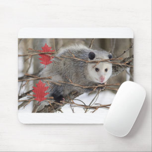 Opossum Nature White Mouse Pad! Mousepad
