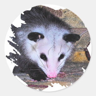 Opossum-Opossum Runder Aufkleber