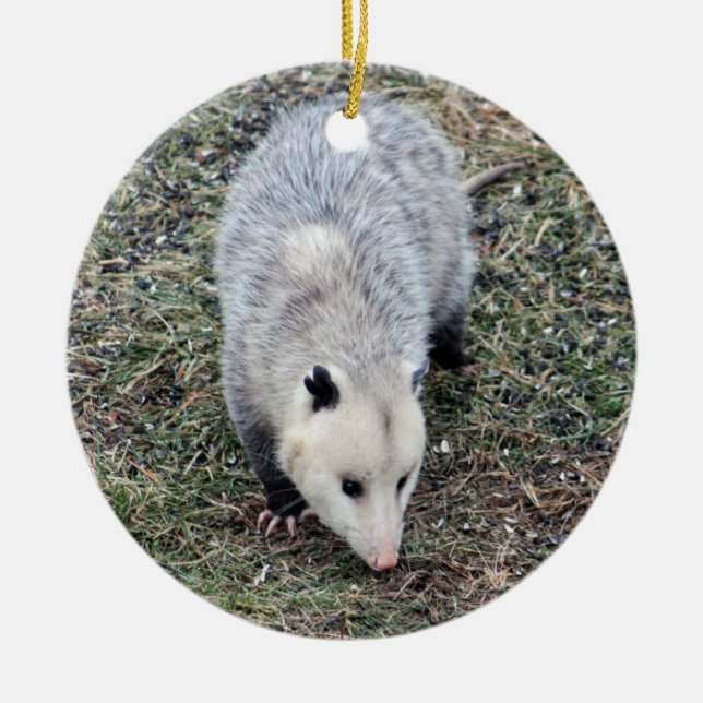 Opossum Photo Keramik Ornament (Vorne)