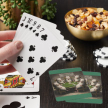 Opossummen Poker