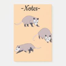Opossums