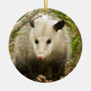 Opossums sind - Opossum Didelphimorphia hübsch Keramik Ornament