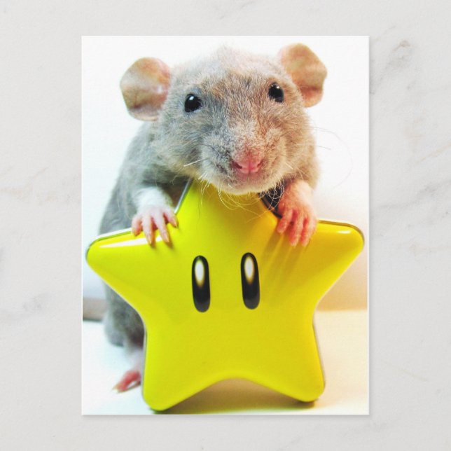 Optimus Star Postkarte (Vorderseite)