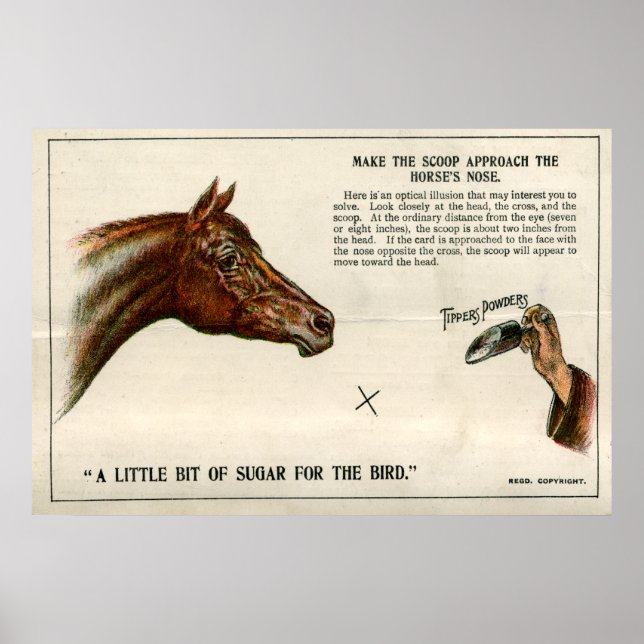 optische Täuschung 1896 Poster (Vorne)