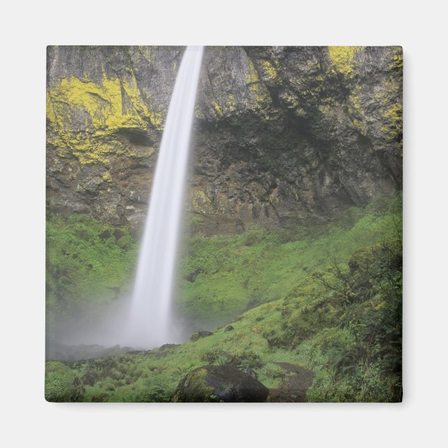 OR, Columbia River Gorge, Elowah Falls, McCord 2 Magnet (Vorne)